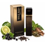 Paris Hilton Gold Rush Nightfall toaletna voda za muškarce 100 ml | shoptok.hr