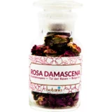 botania premium Rosa Damascena