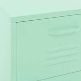 vidaXL Ormarić za pohranu boja mente 42,5 x 35 x 101,5 cm čelični | shoptok.hr