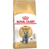 Royal Canin Breed British Shorthair Adult - 4 kg Cene