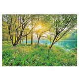 Komar Foto tapeta Spring Lake (8 -dij., Š x V: 368 x 254 cm, Papir) Cijene