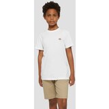 Dickies Mapleton T-shirt white | Shoptok.si