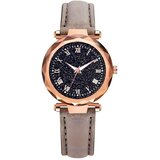 Oem Sat SA-13880 - Siva | shoptok.hr