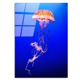 Wallity UV-154 70 x 100 Multicolor Decorative Tempered Glass Painting | ePonuda.com