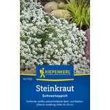 KIEPENKERL Grobeljnik "Alyssum beli" - 1 pkt. Cene