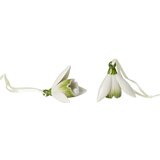  USKRSNA DEKORACIJA SET 2/1 5423 MINI FLOWER BELLS Cijene