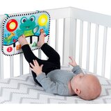 BABY EINSTEIN Neptune's Kick & Explore™ aktivnostna igrača 0m+ 1 kos | Shoptok.si