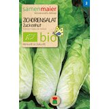 Samen Maier Ekološka solata cikorija "Zuckerhut" Cene