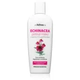 Echinacea mleko za obraz za pomiritev kože 150 ml