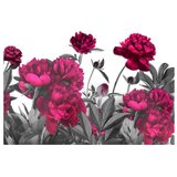  Tapeta - Lush meadow 200x140 | shoptok.hr