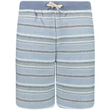 Quiksilver Blue Striped Tracksuit Shorts - Men