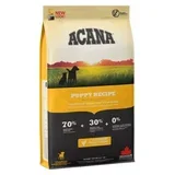 Dog puppy 2 kg