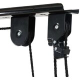 vidaXL Dvigalo za kolo s stropno montažo 2 kosa 20 kg | Shoptok.si