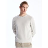 LC Waikiki Men's Crew Neck Long Sleeve Knitwear Sweater | Shoptok.si