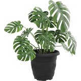  Okrugla saksija za cveće 24 pcs Crna Ø 30 x 25 cm Plastika | Eponuda.com