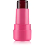 Jelly Lip & Cheek Tint večnamensko ličilo za ustnice in lica s hladilnim učinkom odtenek 02 Cherry Jelly 6 g