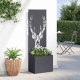  Privatnost u vrtu Antracit 50 x 150 cm Hladno valjana čelična | Eponuda.ba