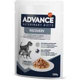 Advance veterinarska dieta Recovery - 100 g 100 g Cene
