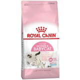 Royal Canin cat kitten mother & baby 0.4 kg hrana za mačke Cene