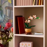 Lego Botanical Collection: Mini orhideja | Shoptok.si