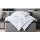 Olimp Sport Jastuk Ally 40x40 | ePonuda.com