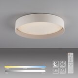 SCHÖNER WOHNEN 14594-39 - LED prigušiva plafonska svetiljka TAVOLI LED/20W/230V siva+daljinski upravljač | Eponuda.com