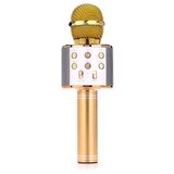 Manta mikrofon bežični sa zvučnikom i karaoke funkcijom MIC10-G | shoptok.hr