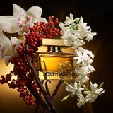 Dolce & Gabbana The One Eau de Parfum Intense parfemska voda intense za žene 30 ml | shoptok.hr