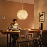 Philips corkwood visilica - luster beli 1Xmax60W 40914/31/Pn CTC-40914/31/PN | Eponuda.com