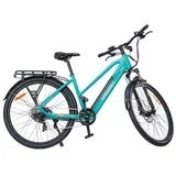 bicikl Stradale 250w 36V 10,4Ah Villager