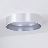  Duolla - LED plafonsko svetlo ROLLER LED/24W/230V prečnik 45 cm srebrno | Eponuda.com