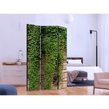 Artgeist Paravan - Ivy wall 135x172 | shoptok.hr