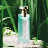 Bvlgari Eau Parfum&amp;eacute;e Au Th&amp;eacute; Vert darilni set uniseks Slike