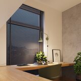 Nice Lamps Zelena stenska svetilka z vtikačem Zylo – | Shoptok.si
