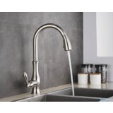  Elegantna izvlečna armatura | pipa EYN KZI5517 - Nikelj | Shoptok.si