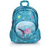 Gabol Ranac školski ergonomski 32x44x18cm 21l-0,56 kg Acqua cene