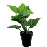 Dekordom Cvet u saksiji - taro mini - 35cm - n55 ( 025082 ) | ePonuda.com