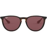 Ray-ban erika naočare za sunce rb 4171 6391/75 | ePonuda.com