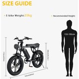 iTherapy Električni bicikl 250w | shoptok.hr