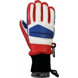 Snowlife Classic Leather Glove Blue/White L