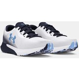 Under Armour Men's shoes Charged Rogue 4 | Shoptok.si