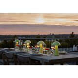 Sirius Zelena LED namizna svetilka z daljinskim upravljalnikom (višina 28 cm) Sam – | Shoptok.si