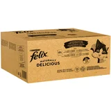 Felix Mega pakiranje Naturally Delicious 80 x 80 g - Raznolikost okusa sa sela