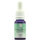 Helping Flowers® nr. 43 Brest Cene