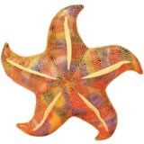 Plišani jastuk/igračka Morska zvijezda 20 cm - žuta | shoptok.hr