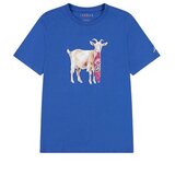 Jordan Jdb mj flt goat ss crew Cene
