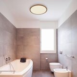 XXXL Stropna lampa Sapana LED 18W 1600lm 3000K ,IP44, 29,4cm | shoptok.hr