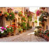  Foto tapeta - The Alley in Spello (Italy) 350x256 Standard | shoptok.hr