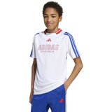 Adidas Funkcionalna majica 'House Of Tiro' modra / rdeča / bela | Shoptok.si