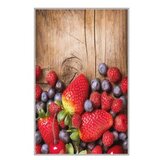 Conceptum Hypnose tepih staza (80x120) Hmnt535 | ePonuda.com